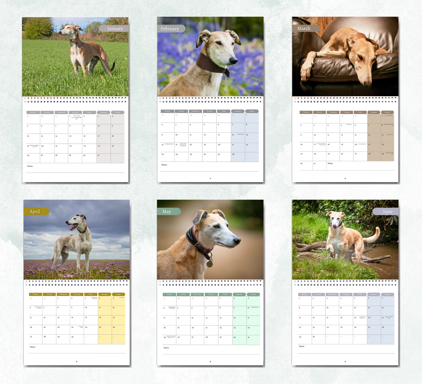 Lurcher Calendar 2026