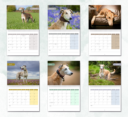 Lurcher Calendar 2026