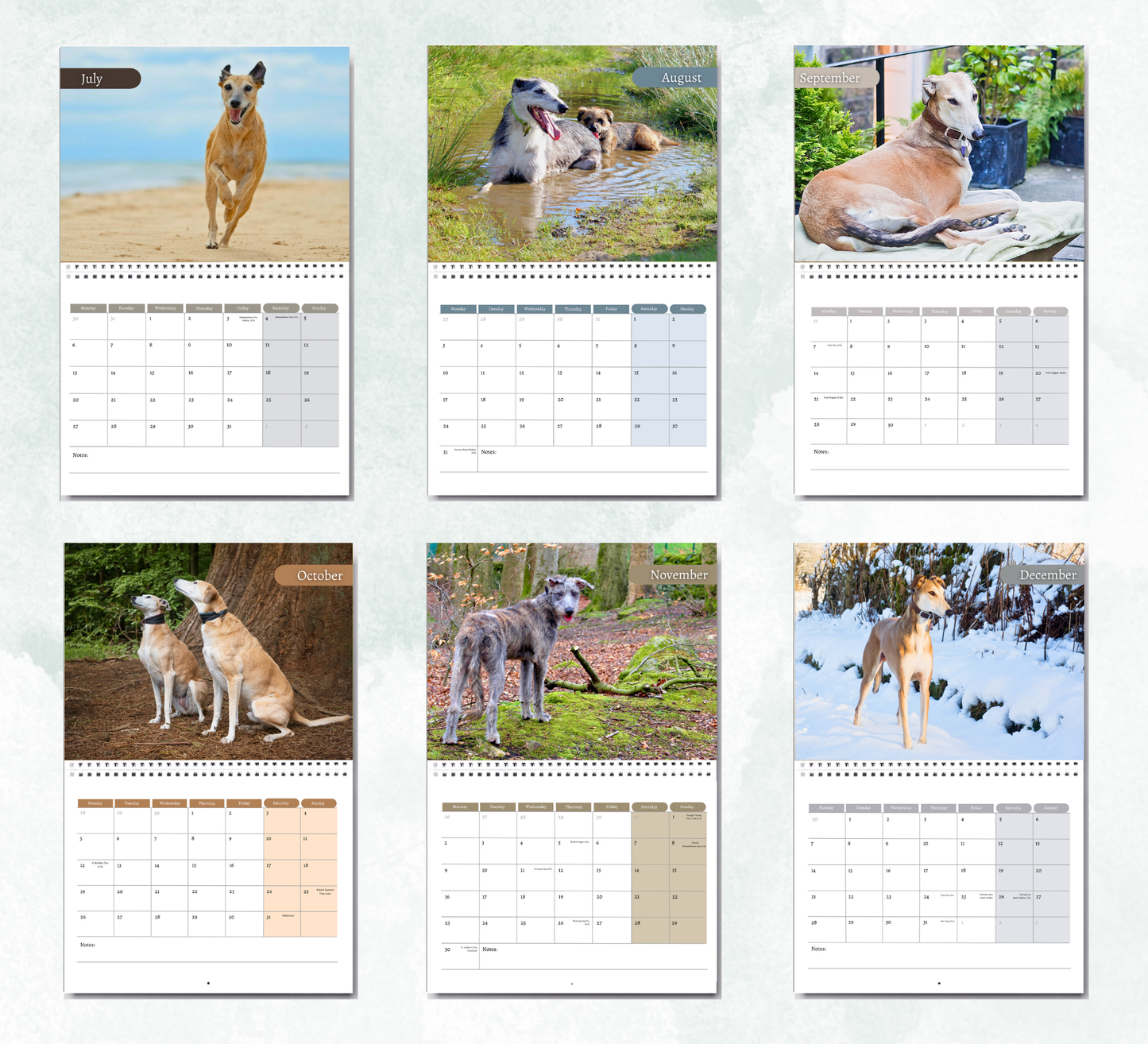 Lurcher Calendar 2026