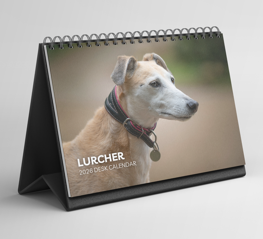 Lurcher Desk Calendar 2026-2027