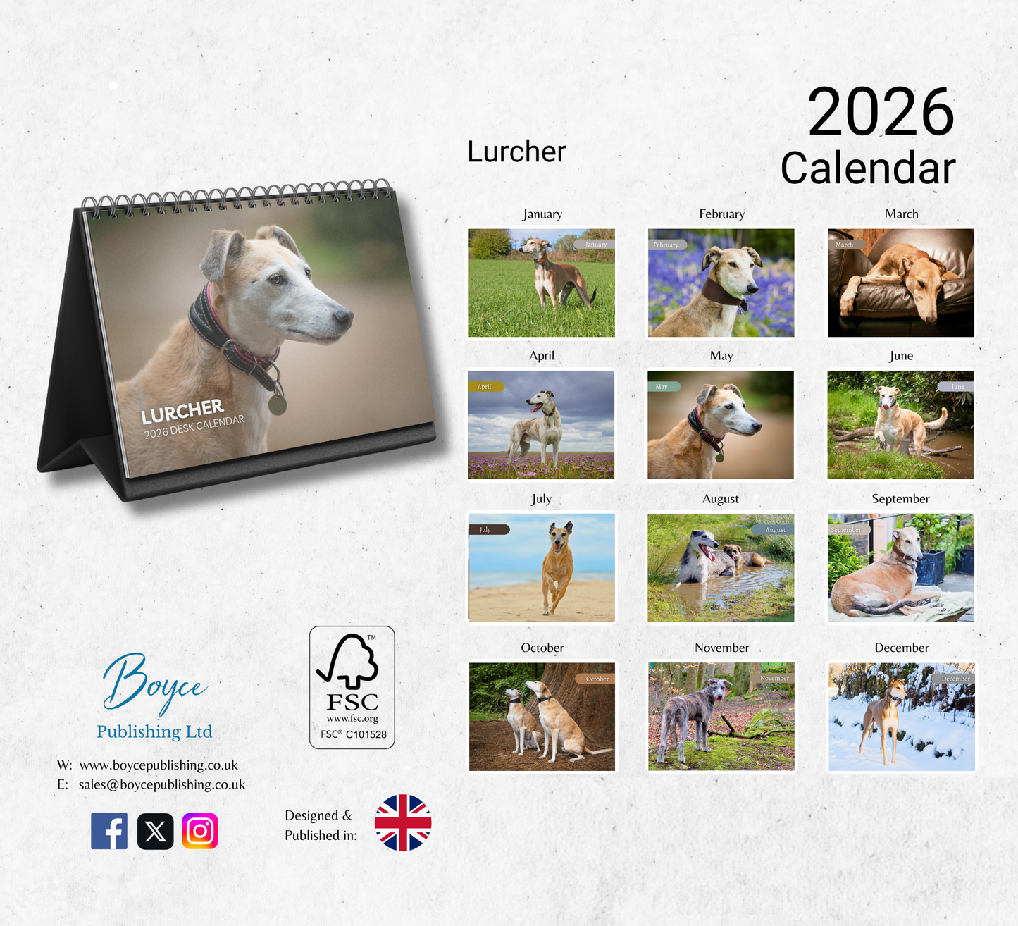 Lurcher Desk Calendar 2026-2027
