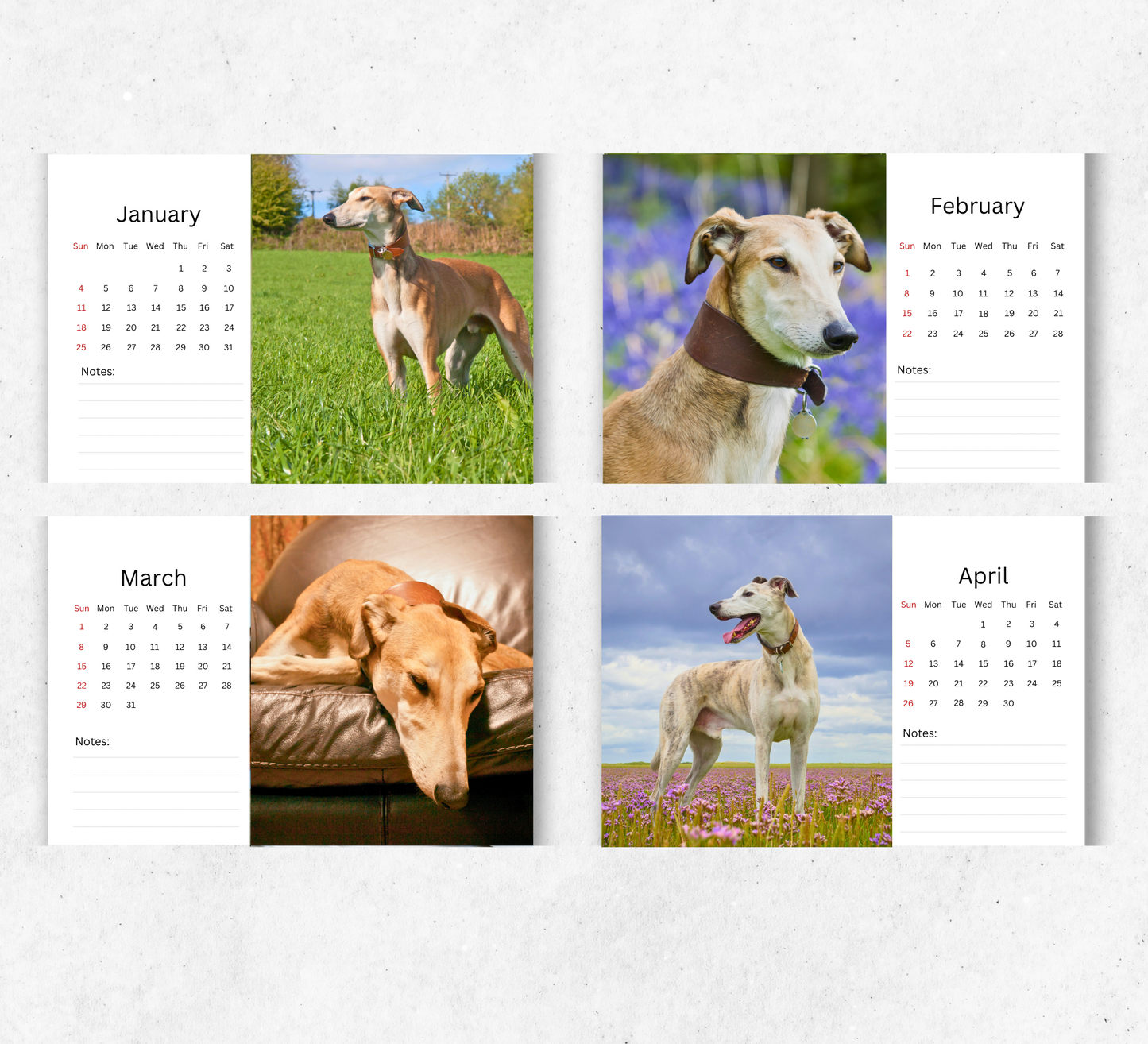 Lurcher Desk Calendar 2026-2027