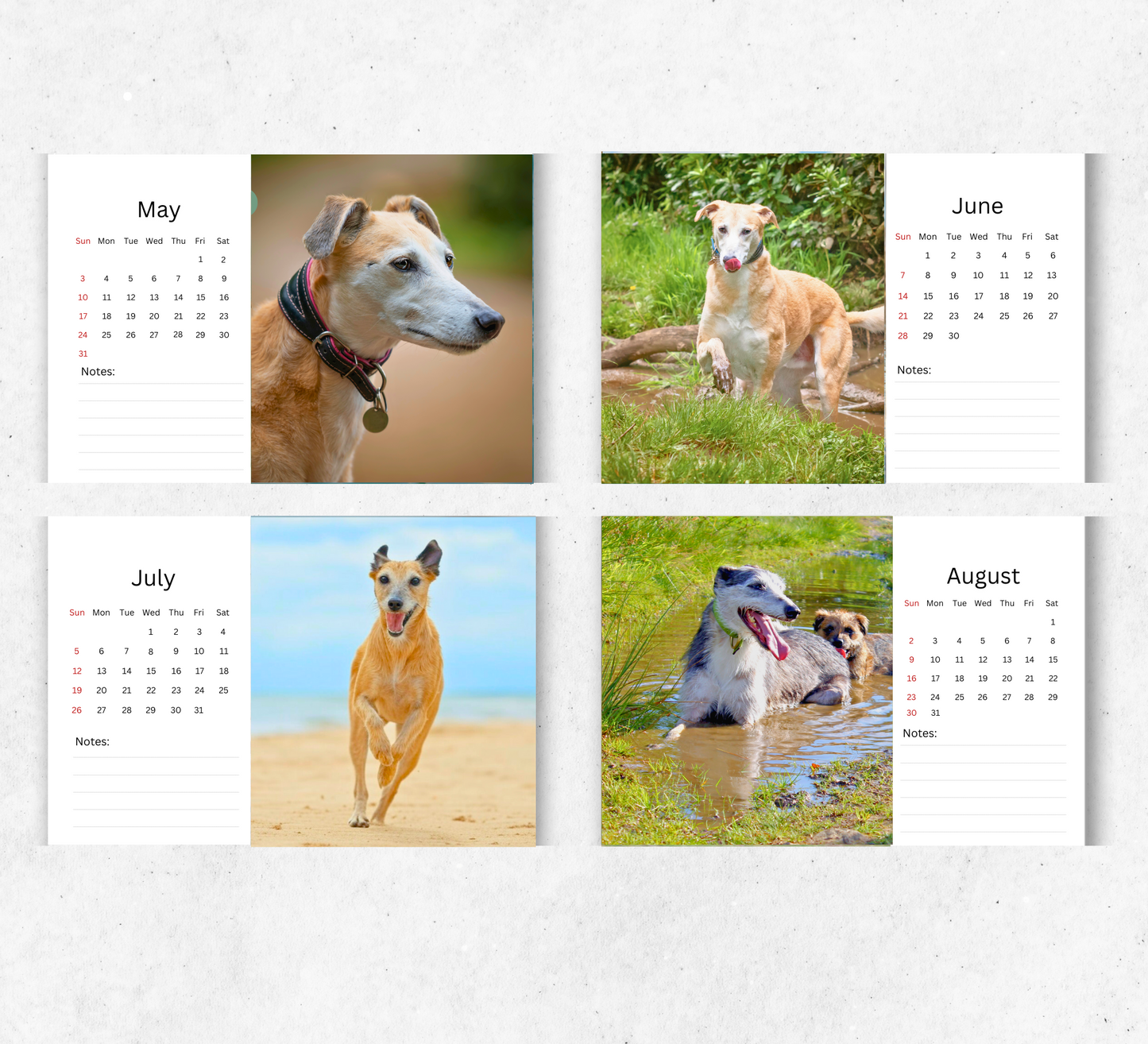 Lurcher Desk Calendar 2026-2027