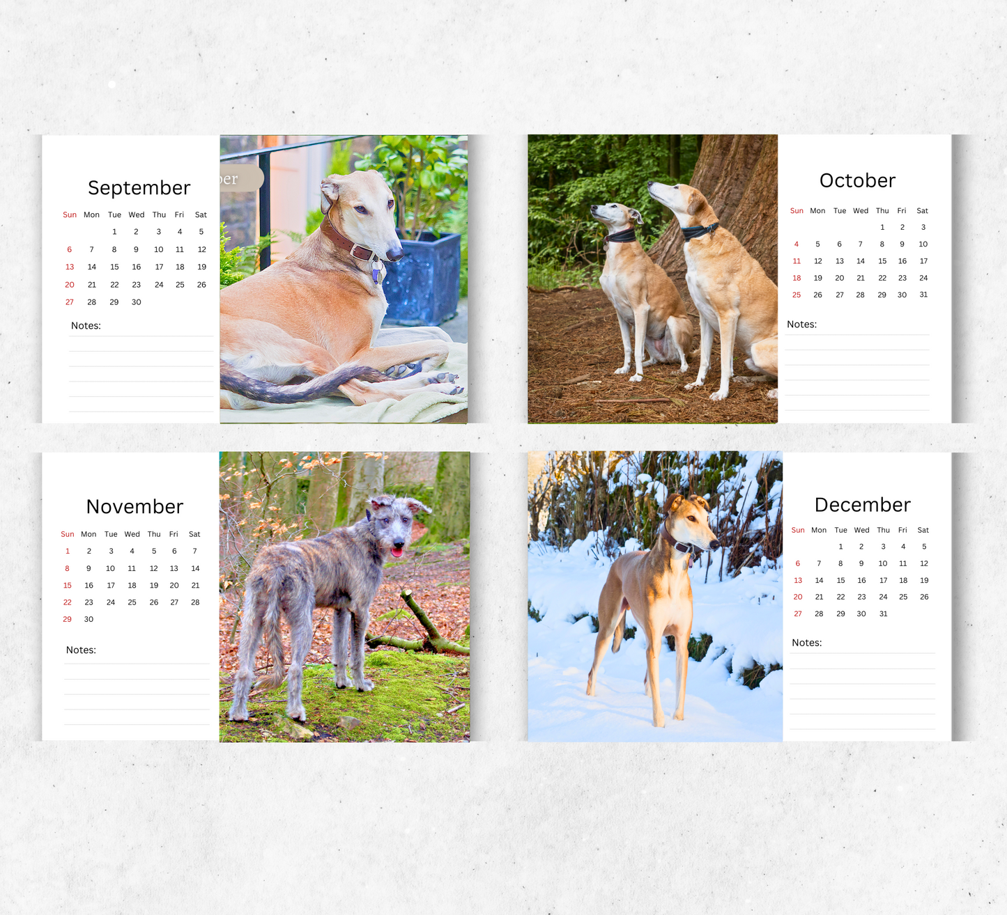 Lurcher Desk Calendar 2026-2027