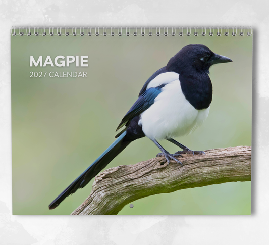 Magpie Calendar 2027