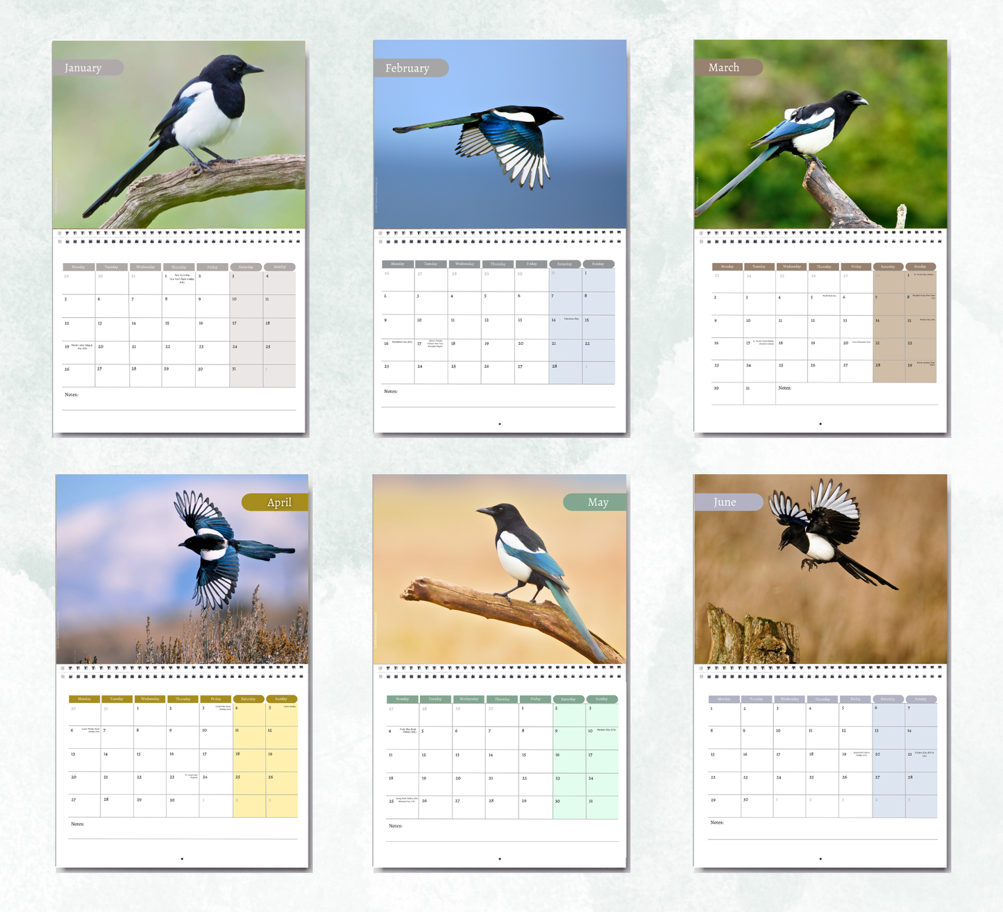 Magpie Calendar 2027