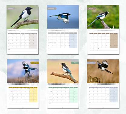 Magpie Calendar 2027