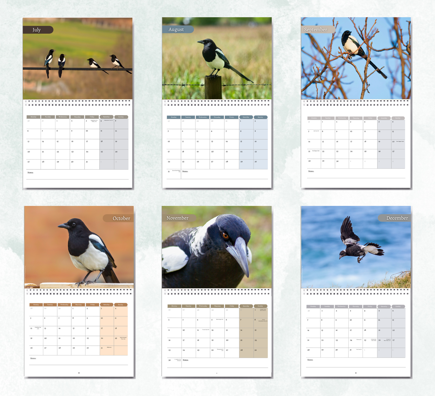 Magpie Calendar 2027