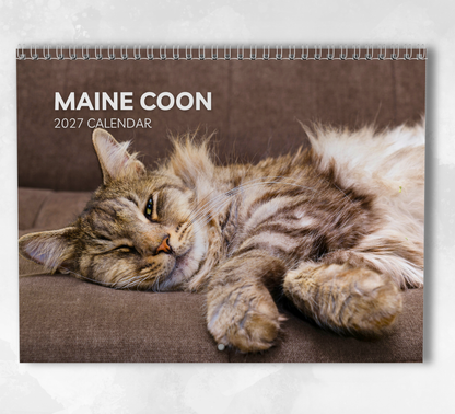 Maine Coon Calendar 2027