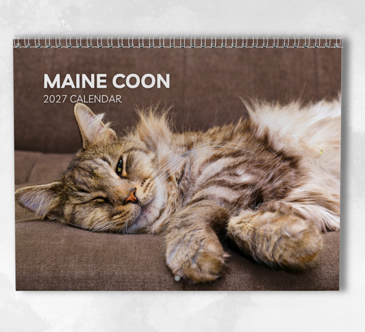 Maine Coon Calendar 2027