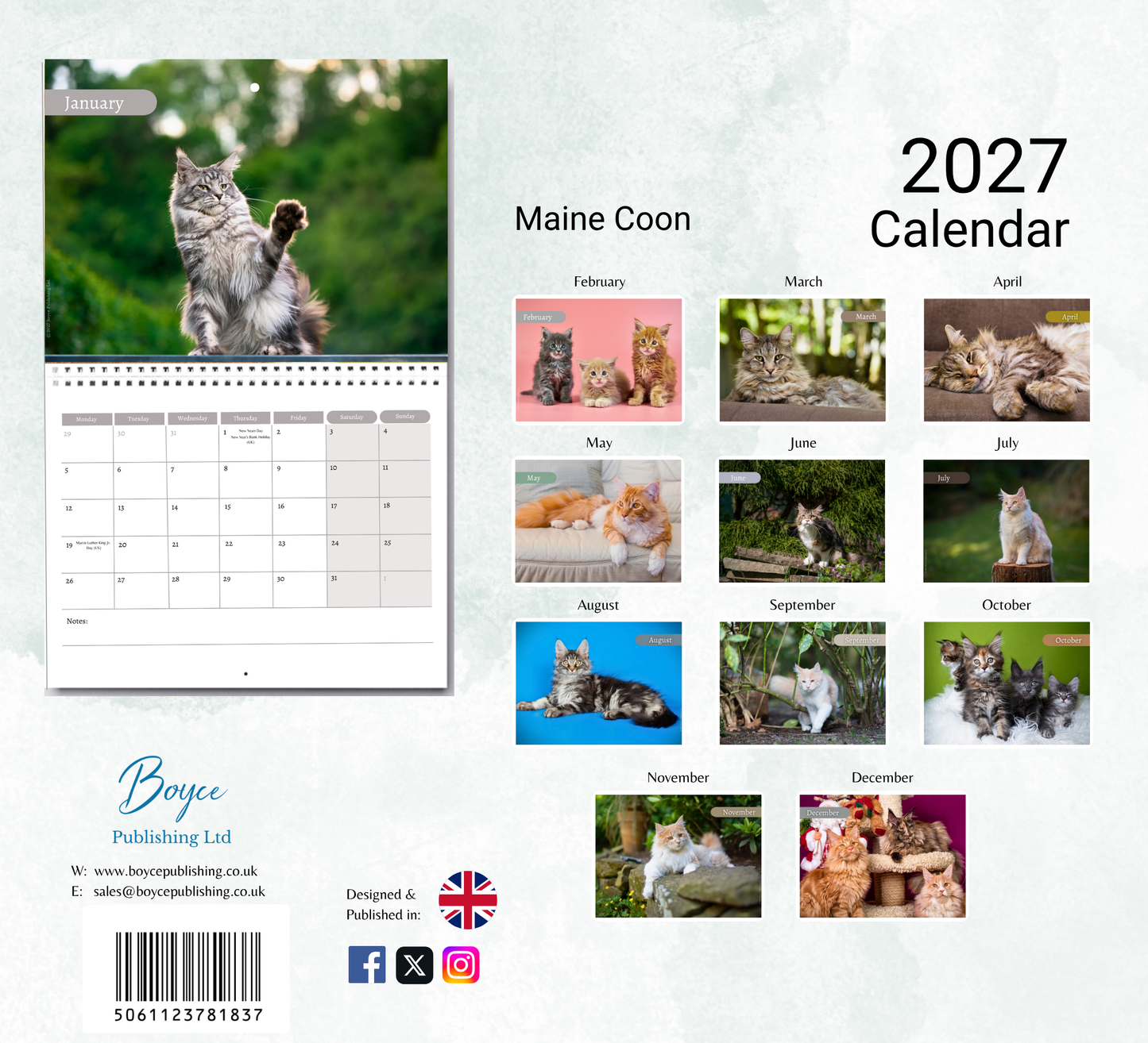 Maine Coon Calendar 2027