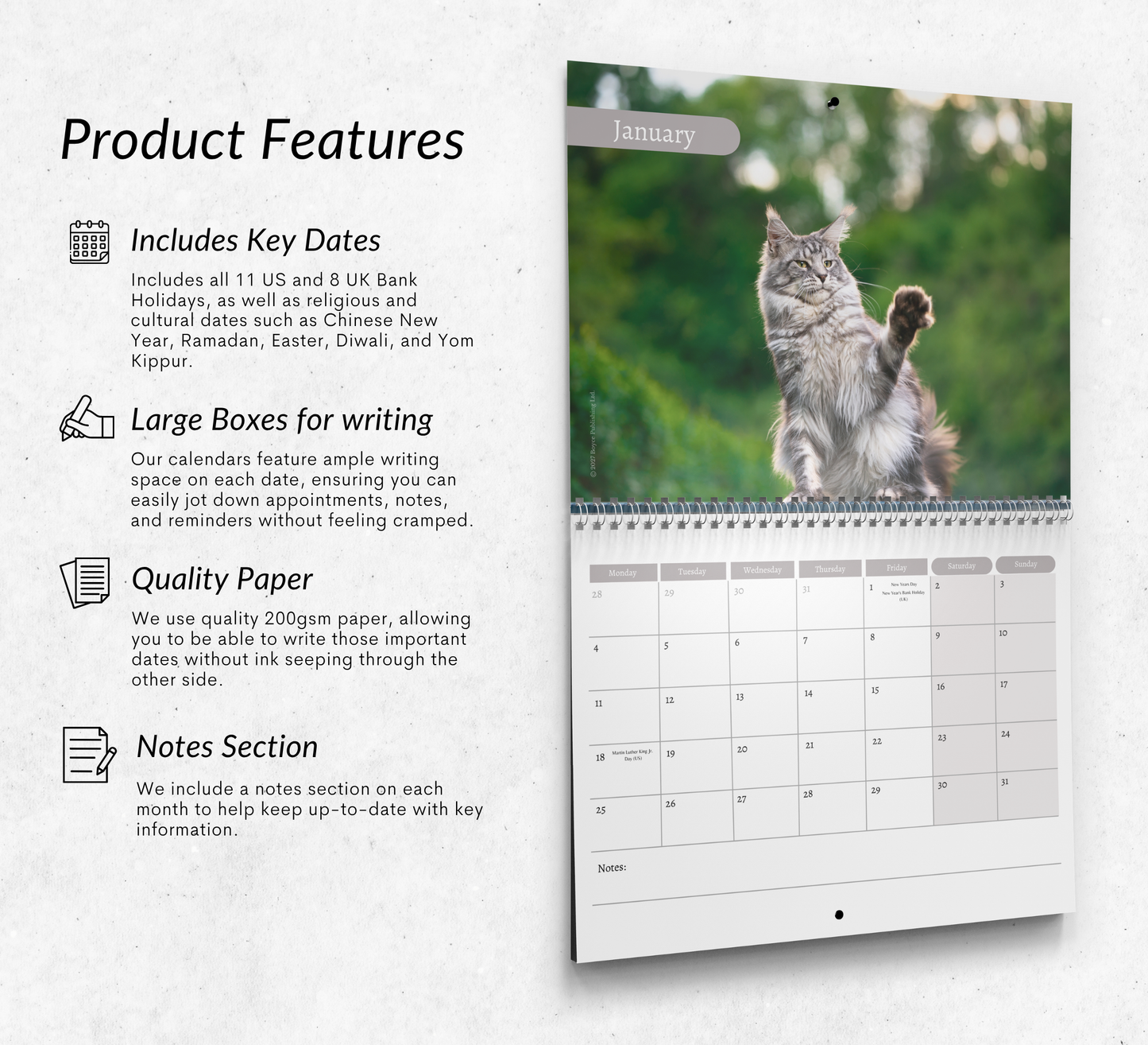 Maine Coon Calendar 2027