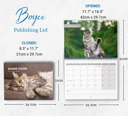 Maine Coon Calendar 2027