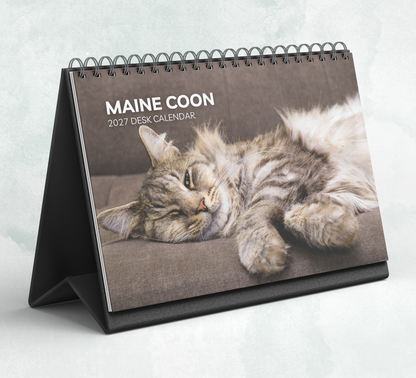 Maine Coon Desk Calendar 2027-2028