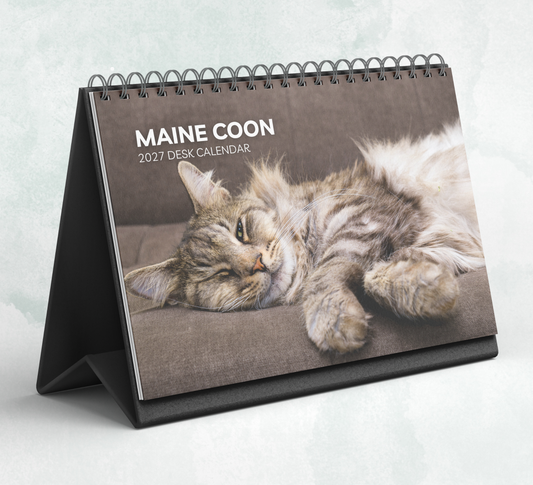 Maine Coon Desk Calendar 2027-2028