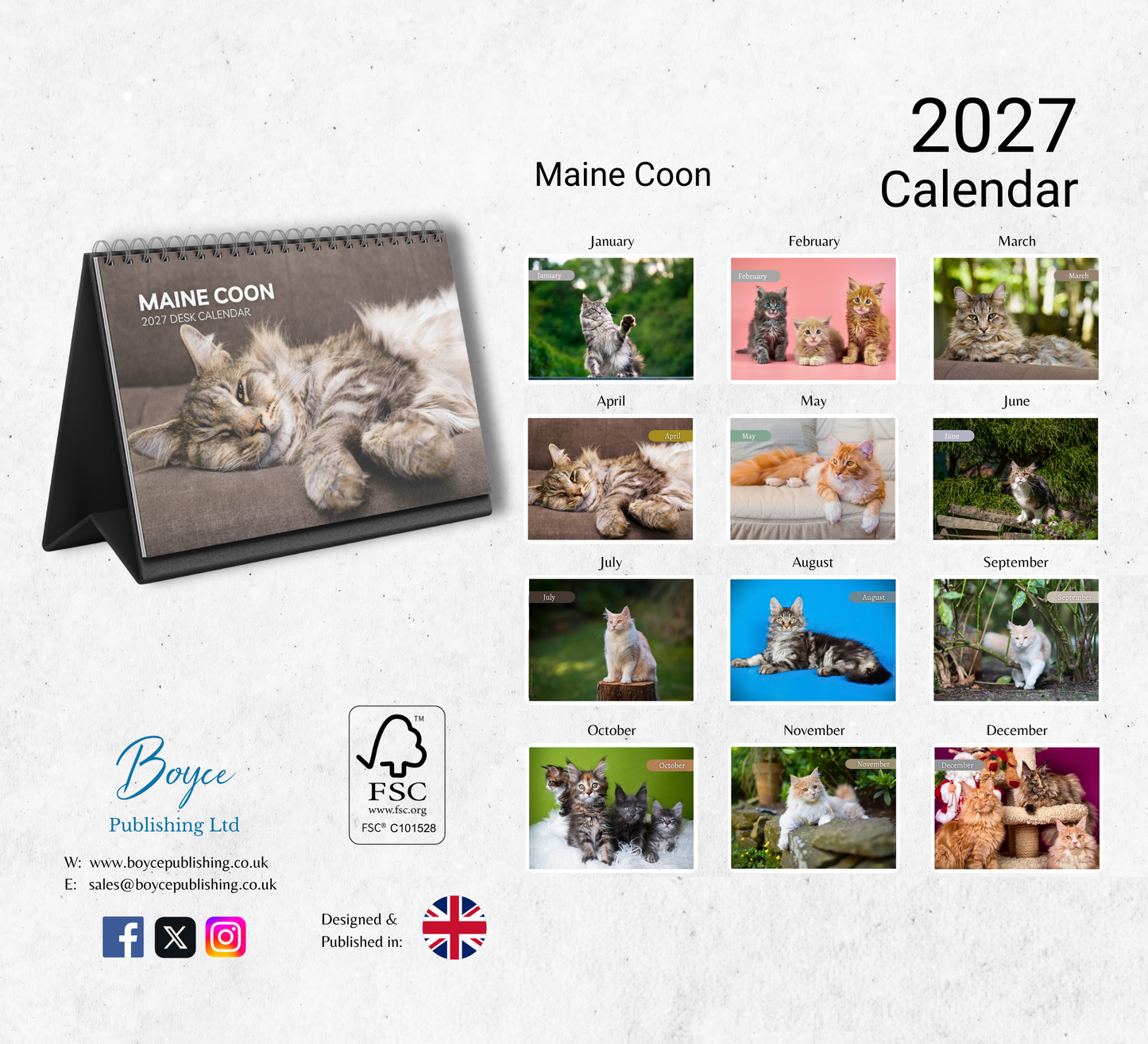 Maine Coon Desk Calendar 2027-2028