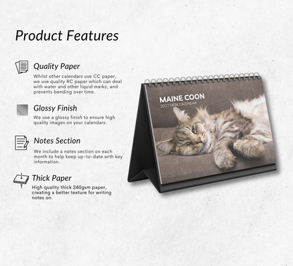 Maine Coon Desk Calendar 2027-2028