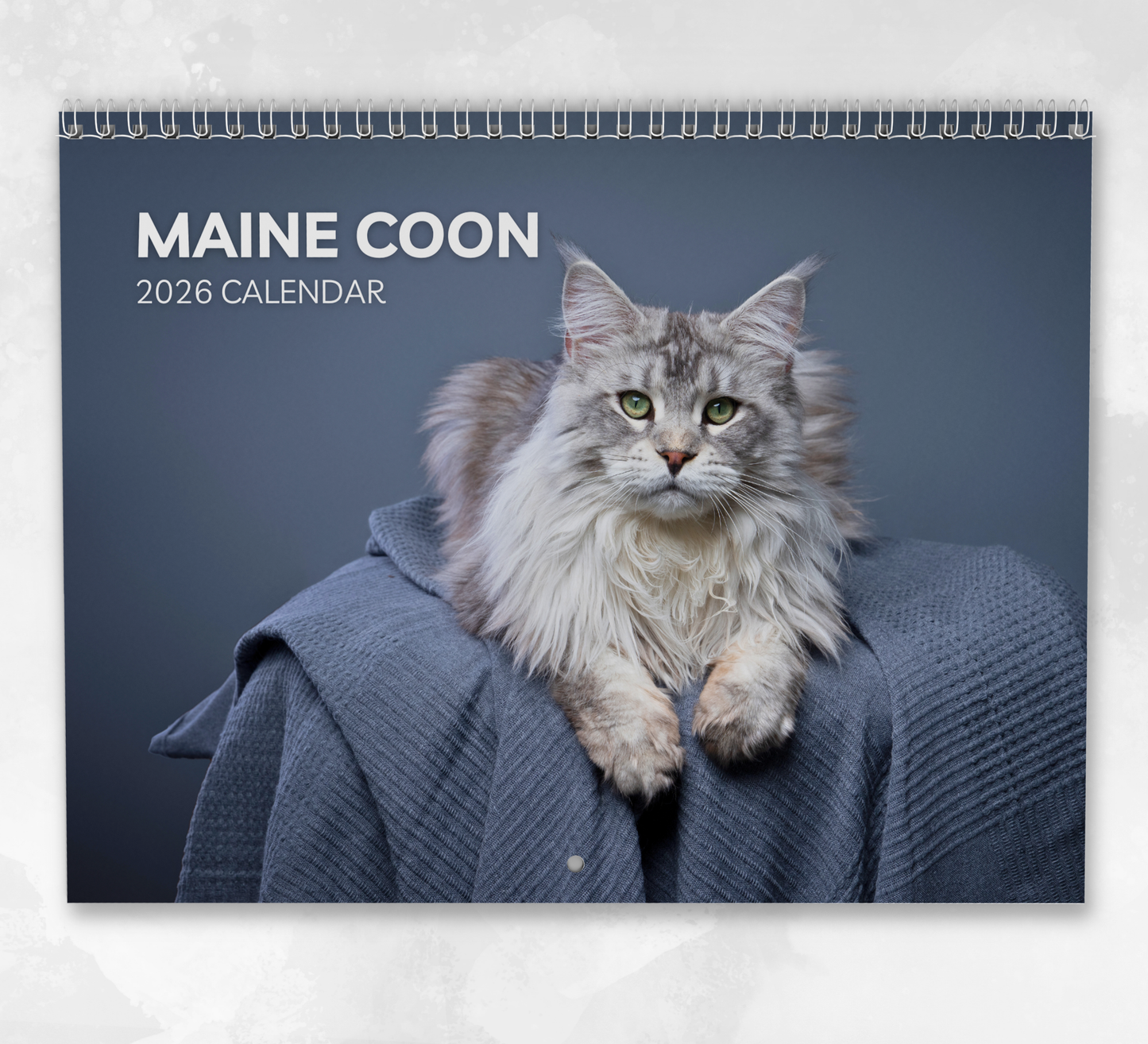 Maine Coon Calendar 2026