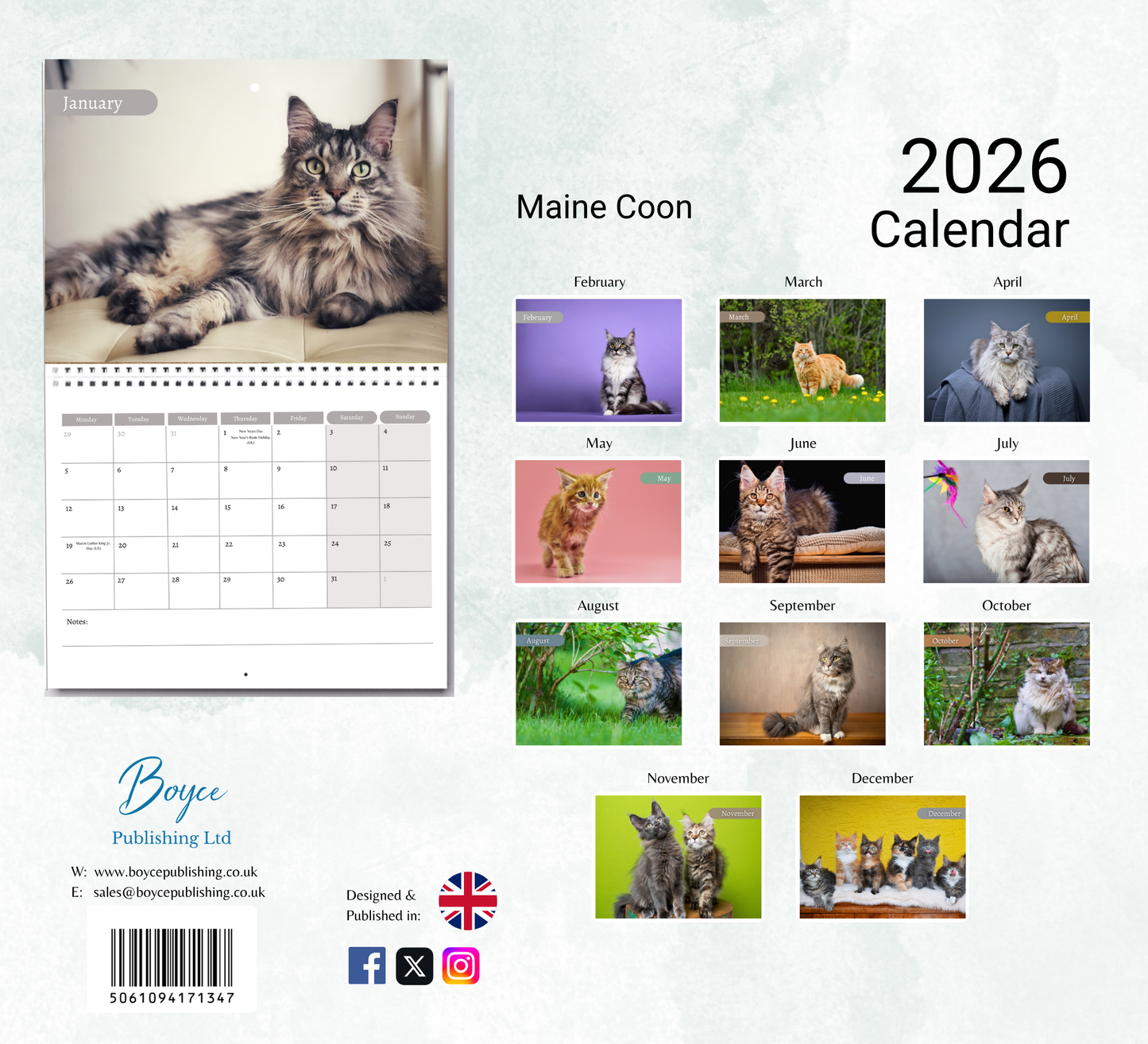 Maine Coon Calendar 2026