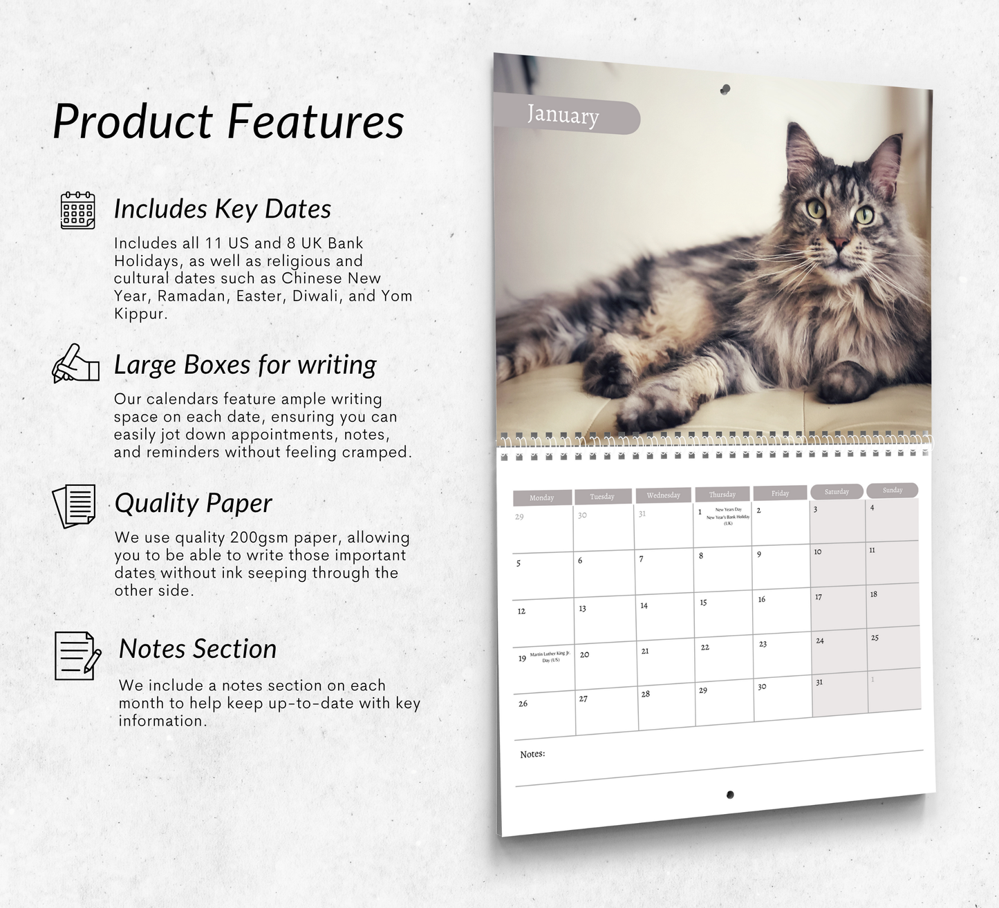 Maine Coon Calendar 2026