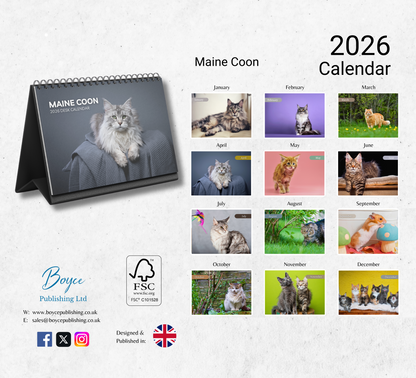 Maine Coon Desk Calendar 2026-2027