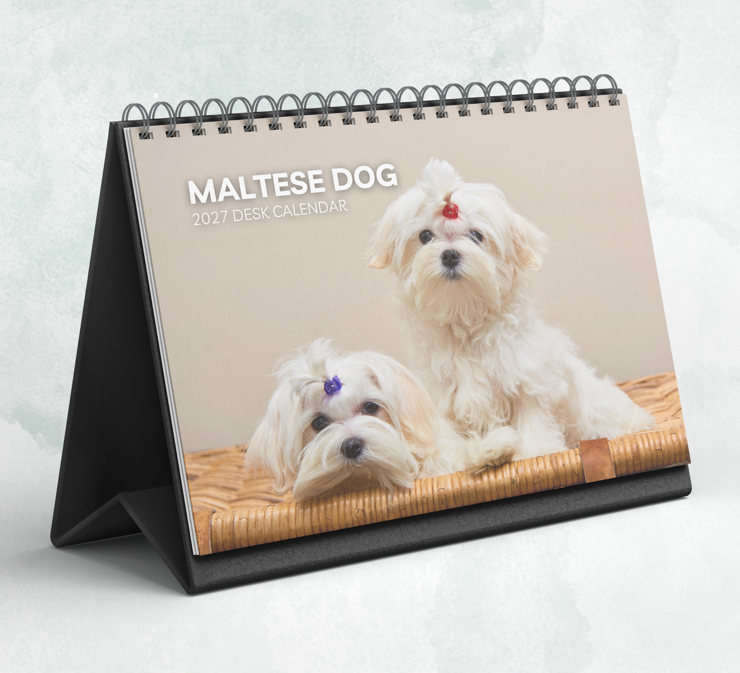 Maltese Dog Desk Calendar 2027-2028