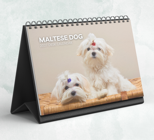 Maltese Dog Desk Calendar 2027-2028