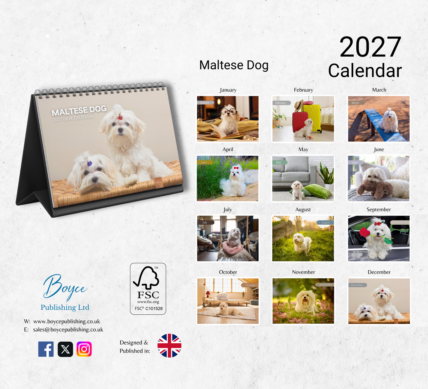 Maltese Dog Desk Calendar 2027-2028