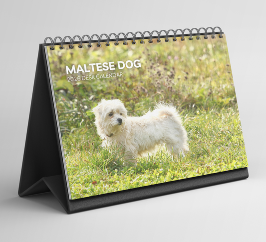Maltese Dog Desk Calendar 2026-2027