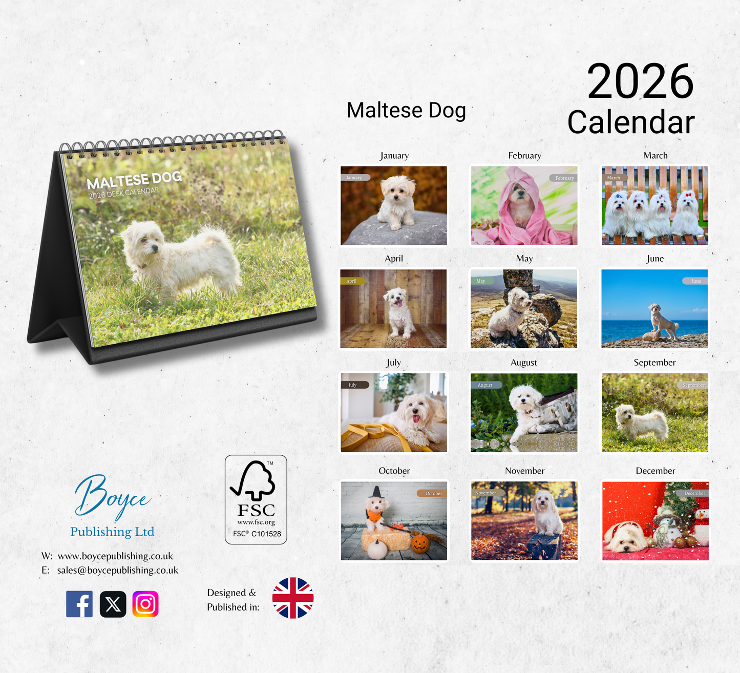 Maltese Dog Desk Calendar 2026-2027