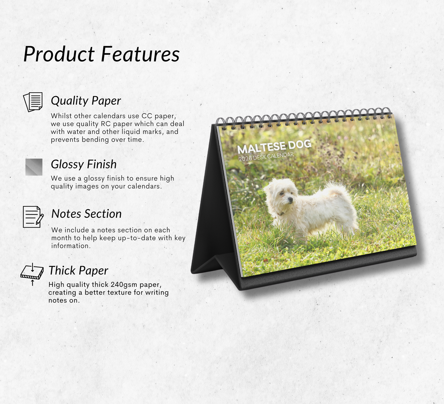 Maltese Dog Desk Calendar 2026-2027