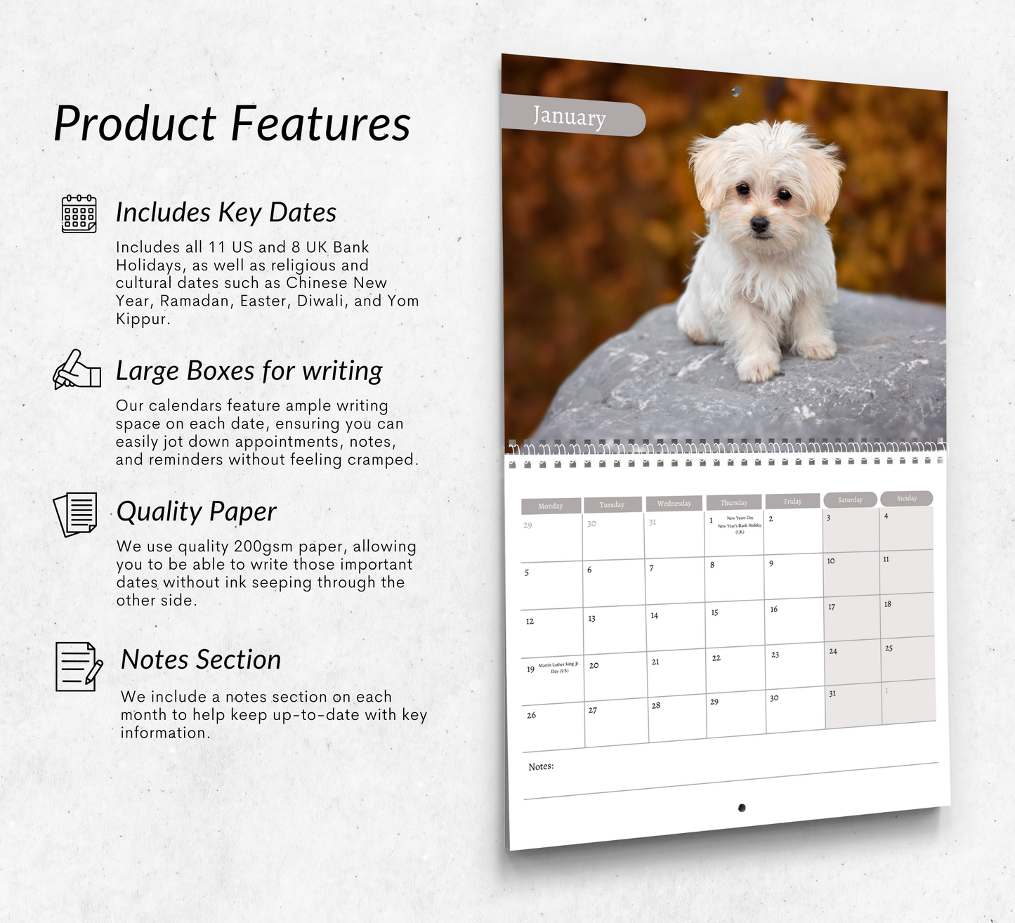 Maltese Dog Calendar 2026
