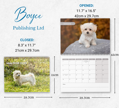 Maltese Dog Calendar 2026