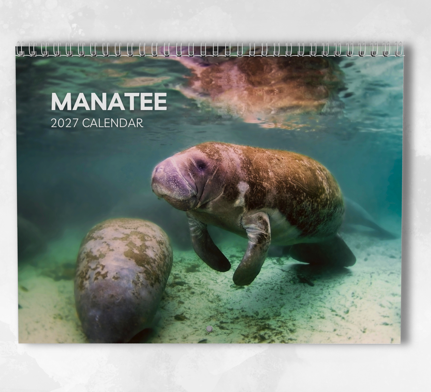 Manatee Calendar 2027