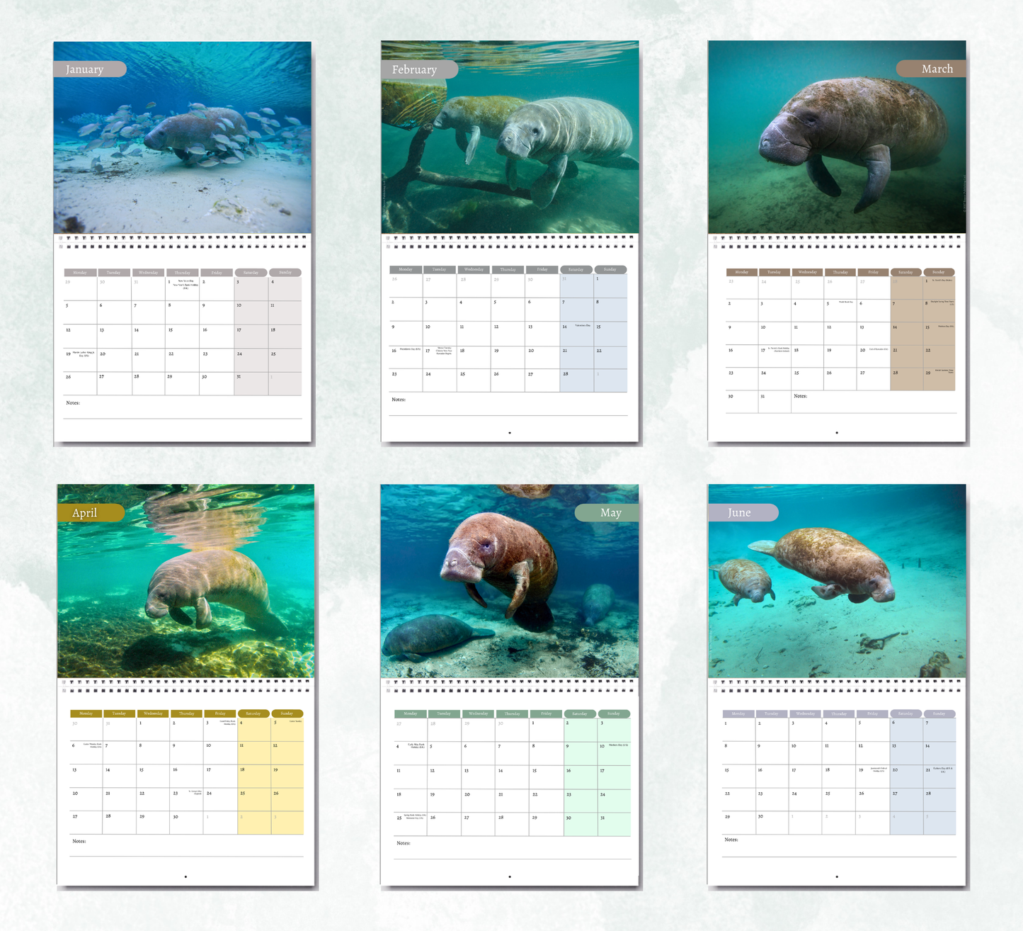 Manatee Calendar 2027