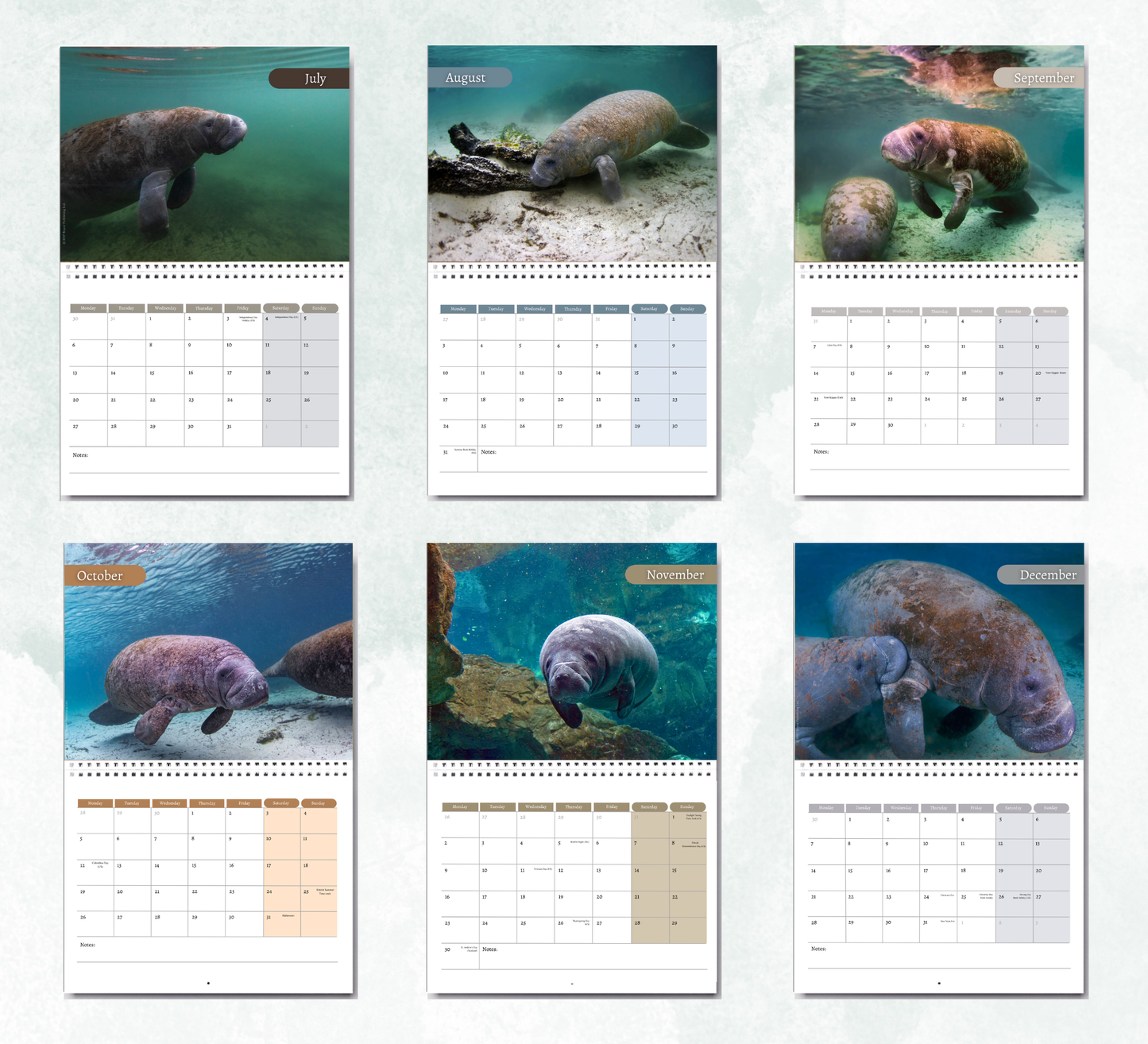Manatee Calendar 2027