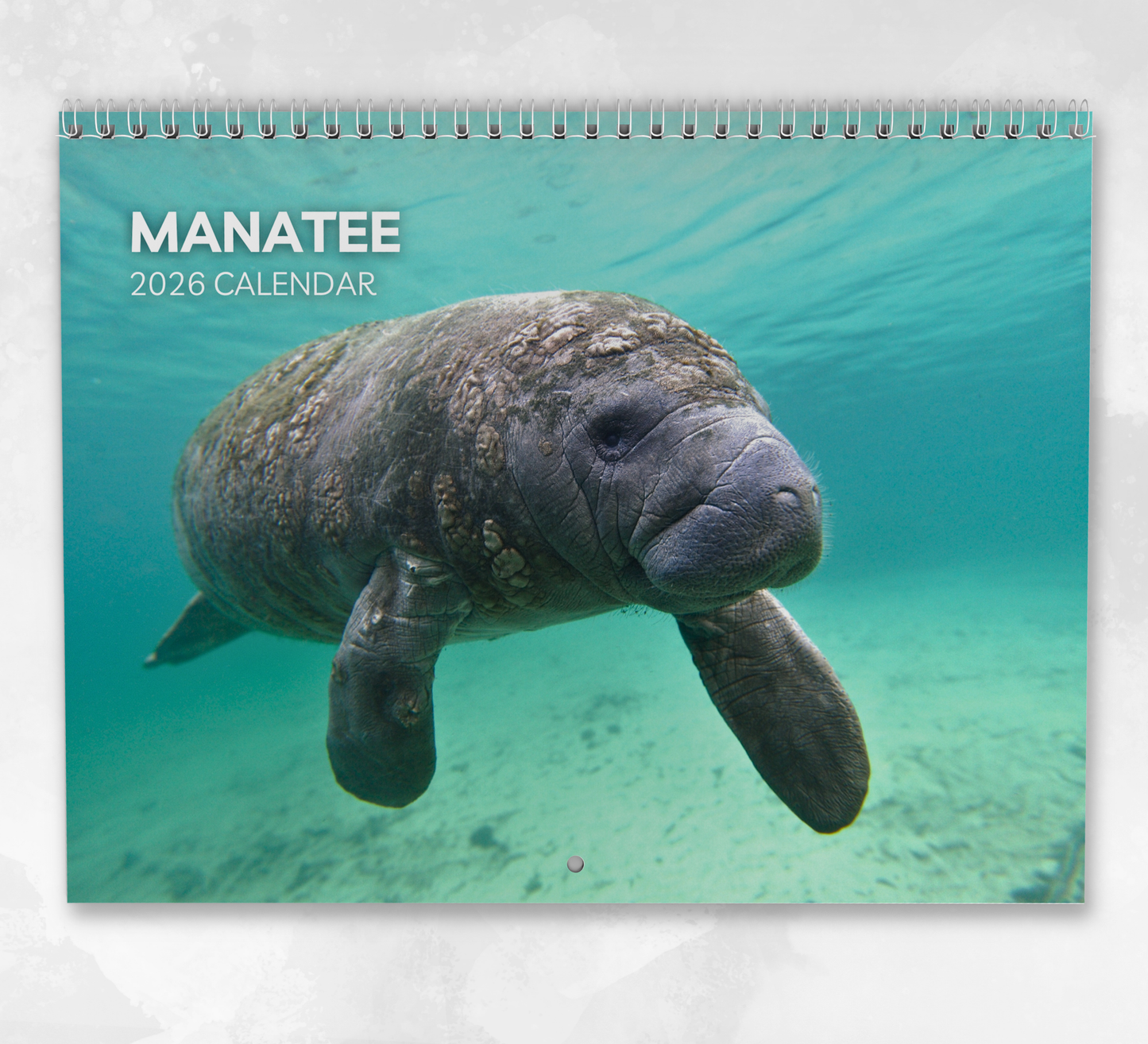 Manatee Calendar 2026