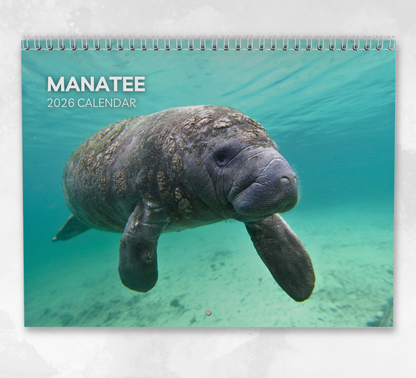 Manatee Calendar 2026