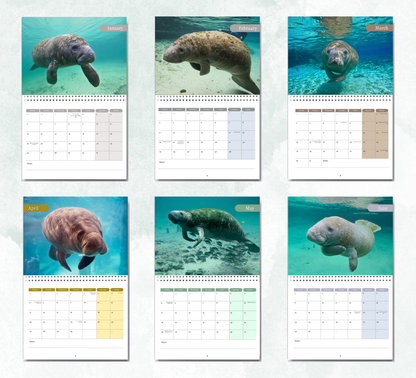 Manatee Calendar 2026
