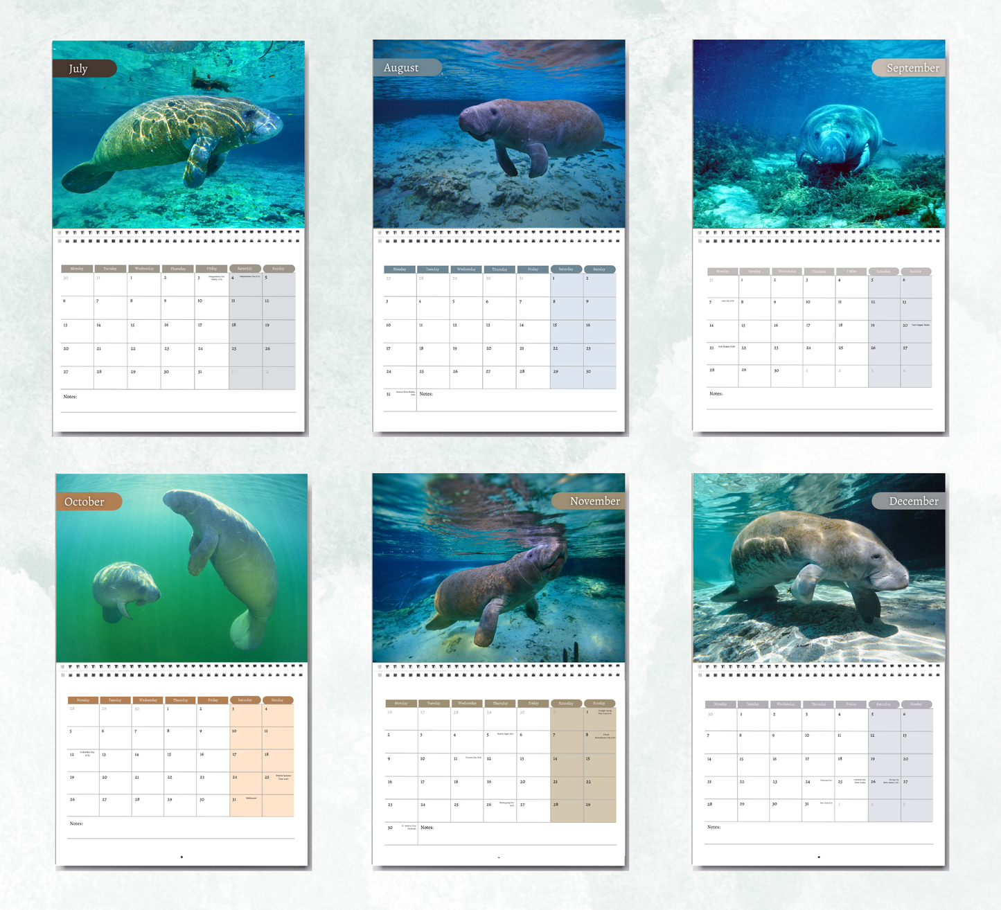 Manatee Calendar 2026