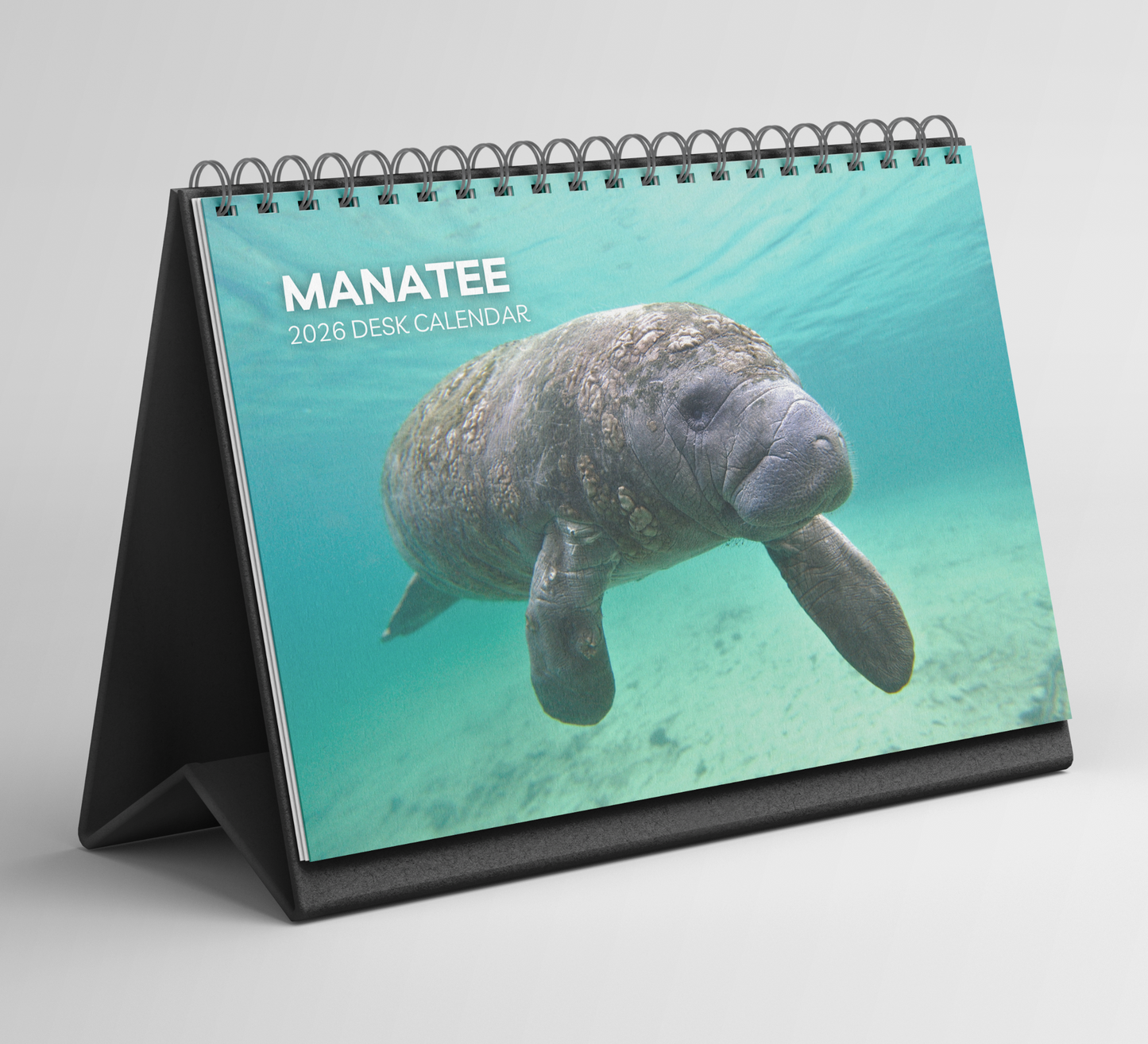 Manatee Desk Calendar 2026-2027