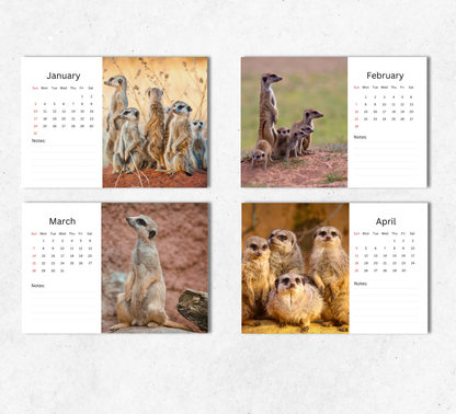 Meerkat Desk Calendar 2027-2028