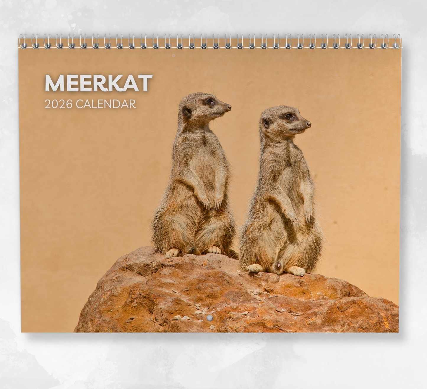 Meerkat Calendar 2026