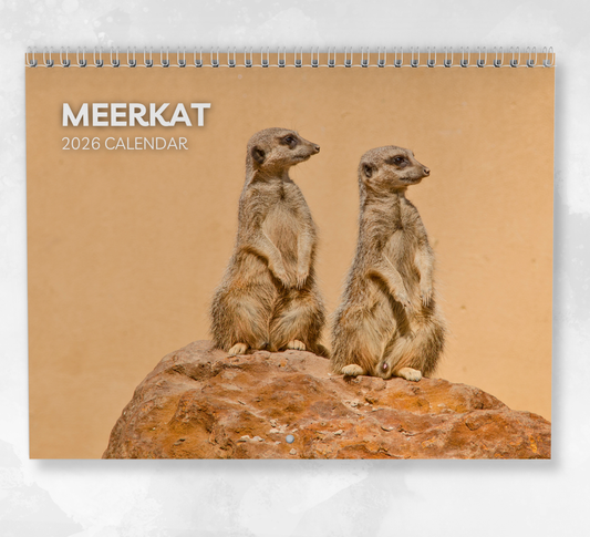 Meerkat Calendar 2026
