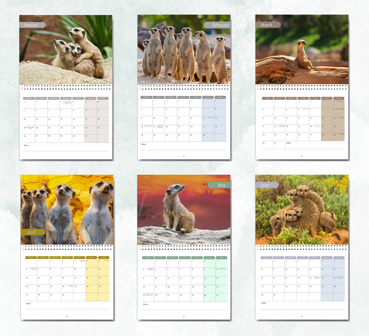 Meerkat Calendar 2026