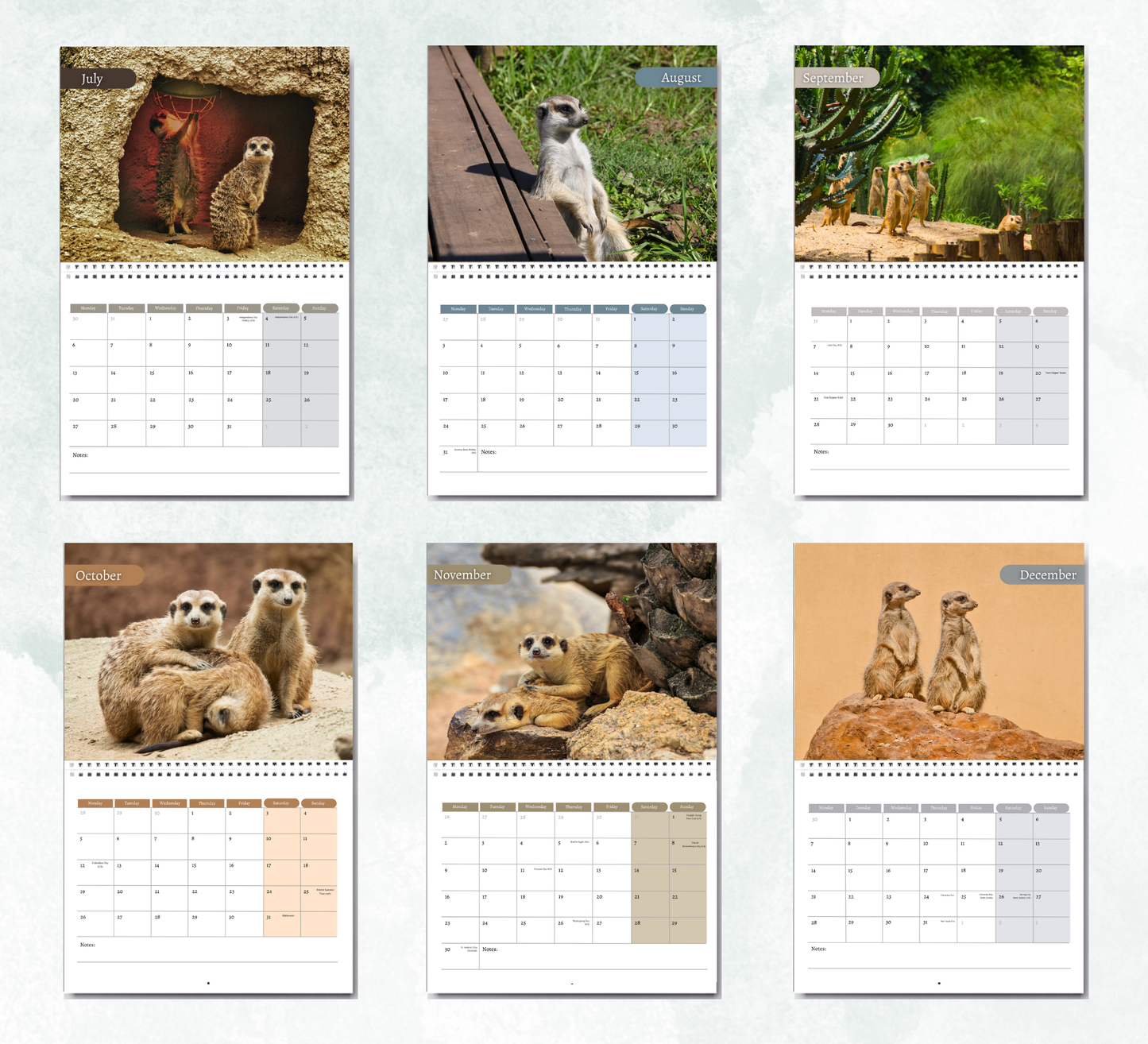 Meerkat Calendar 2026