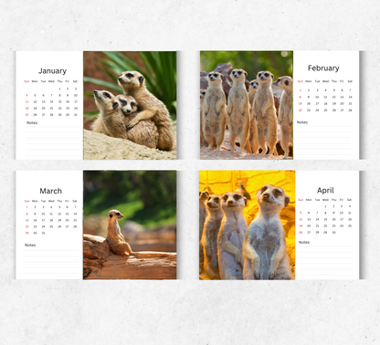 Meerkat Desk Calendar 2026-2027