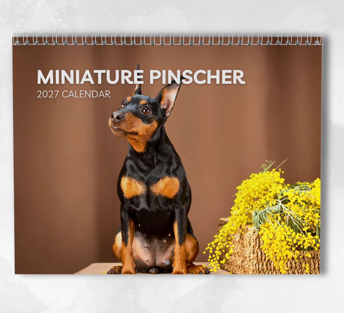 Miniature Pinscher Calendar 2027