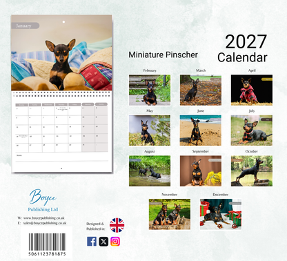 Miniature Pinscher Calendar 2027