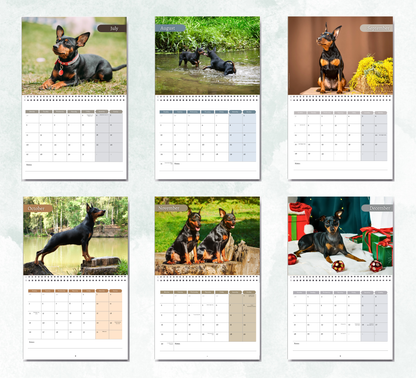 Miniature Pinscher Calendar 2027